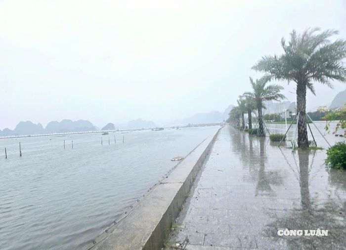 Khoảng giữa trưa ngày 21/7, trên địa bàn từ phường Cửa Ông đến phường Hạ Long, gió bắt đầu mạnh lên cùng với mưa nhiều hơn.