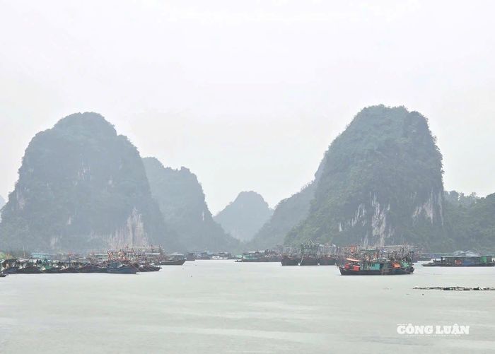 Đến trưa 21/7, hầu hết các tàu thuyền đánh cá của ngư dân đã được đưa về nơi neo đậu an toàn.