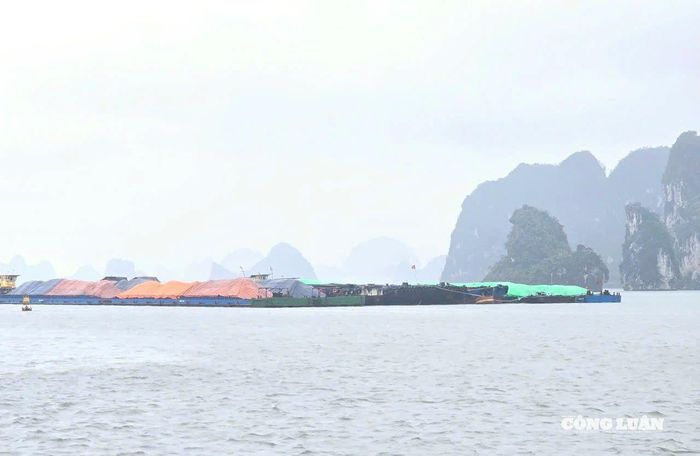 Tập đoàn TKV tạm hoãn lịch trình chở than đường biển và chủ động đưa các sà lan than vào khu vực an toàn,.