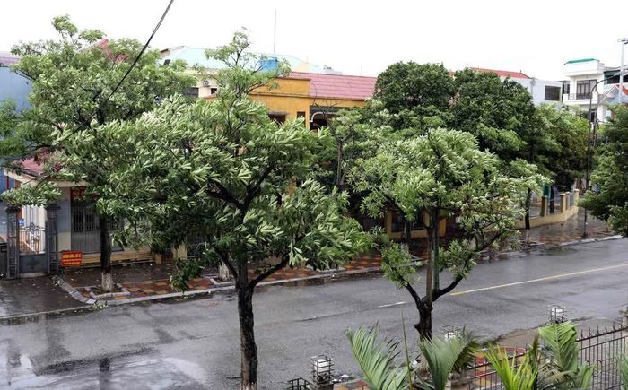 Khu vực phường Trần Hưng Đạo, tỉnh Hưng Yên sáng 22/7/2025 có gió giật mạnh. Ảnh: Thế Duyệt – TTXVN