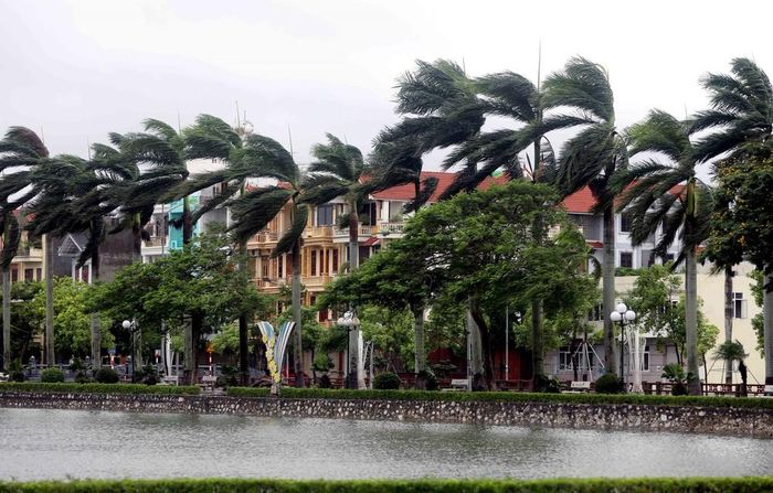 Khu vực phường Trần Hưng Đạo, tỉnh Hưng Yên sáng 22/7/2025 có mưa và gió giật mạnh. Ảnh: Thế Duyệt – TTXVN