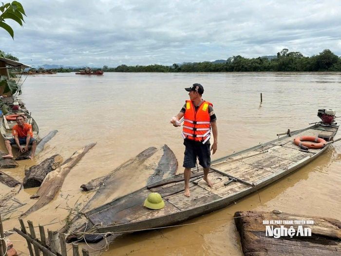 Việc vớt củi trên sông Lam khi nước dâng cao tiềm ẩn nhiều hiểm nguy. Ảnh: T.P
