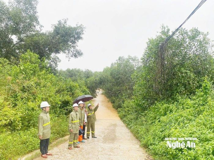 Lãnh đạo Công ty Điện lực Nghệ An và đoàn công tác đi kiểm tra hệ thống điện sau bão số 3.