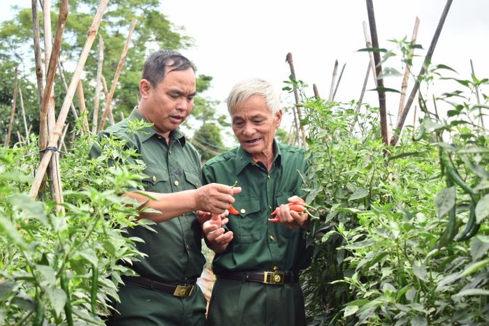 Ở thời bình, CCB vươn lên phát triển kinh tế bằng ý chí của Bộ đội Cụ Hồ