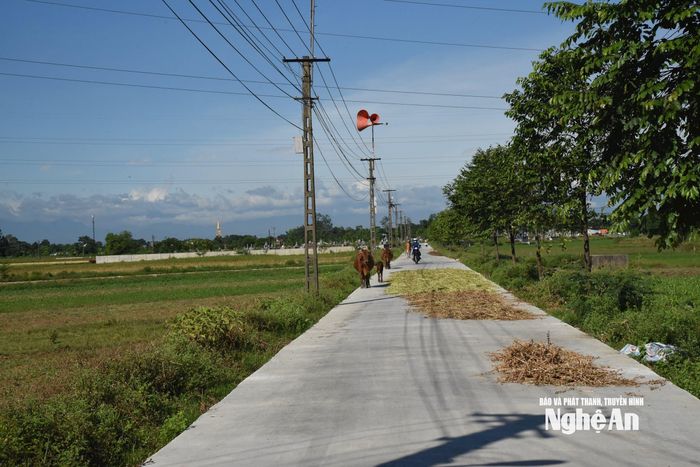 Một góc xóm Phú Xuân ngày mùa, người dân tranh thủ lúc nắng ráo để phơi khô lạc, vừng. Ảnh: HT