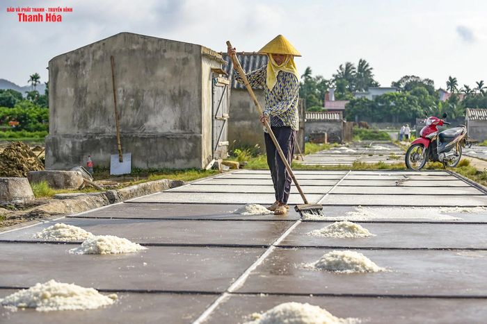 Mỗi ngày, vào khoảng thời gian từ 15-17h, khi nước biển bốc hơi để lại những hạt muối tinh khiết trên nền bê tông. Lúc này, người dân thu hoạch muối rồi chở về nhà kho chứa muối, chờ ngày bán.