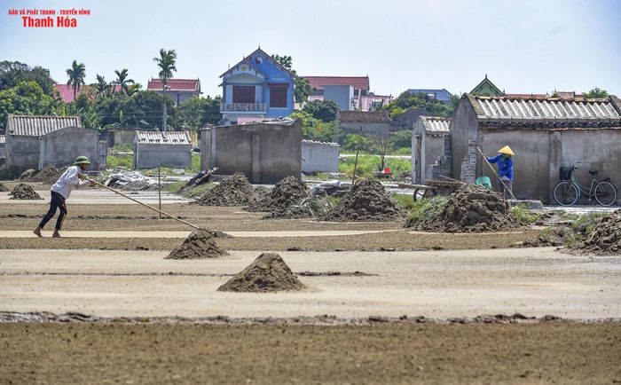 Nằm bên những cánh đồng muối trải dài, người dân nơi đây đã bao đời gắn bó với “cơm trắng muối mặn”, coi đó là kế sinh nhai chủ lực.