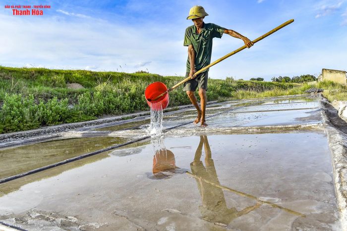 Theo kinh nghiệm, nắng càng nóng thì chất lượng muối càng tốt. Vì vậy, những ngày này, bà con diêm dân ra đồng làm việc rất đông.
