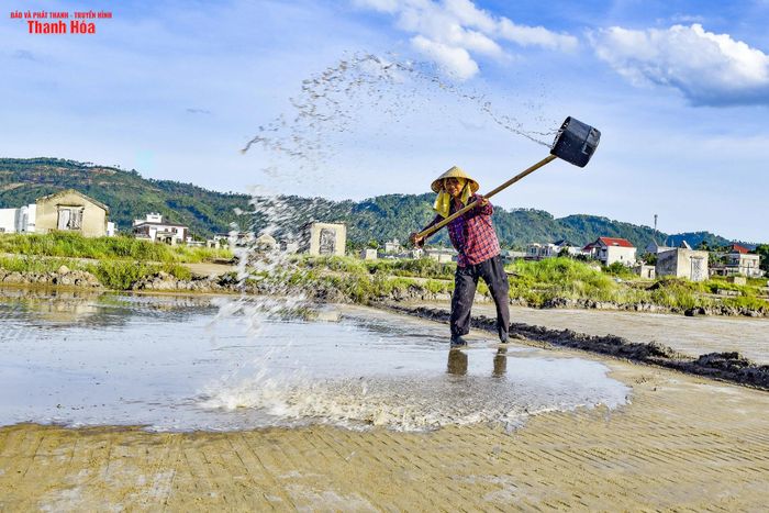 Làm muối phụ thuộc hoàn toàn vào thời tiết. Những ngày nắng to, nhiệt độ ngoài trời có thể lên tới hơn 40 độ C, người dân phải đội nón lá, mặc áo dài tay, bịt kín người để chống lại cái nắng như thiêu. Nhưng càng nắng, muối kết tinh càng nhanh, sản lượng mới đảm bảo.