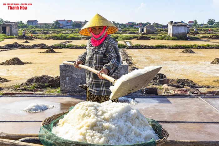 Dù vất vả là vậy, nhưng thu nhập từ nghề muối không ổn định. Giá muối phụ thuộc vào thị trường, lúc cao thì 2.000 đồng/kg, lúc thấp chỉ còn 800–1.200 đồng/kg.