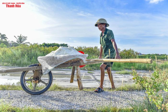 Người dân ở đây cho biết, thu nhập từ nghề muối không đủ để sinh hoạt gia đình, cho nên nhiều người trẻ bỏ nghề lên thành phố làm thuê, để lại những cánh đồng muối chỉ còn người già bám trụ.