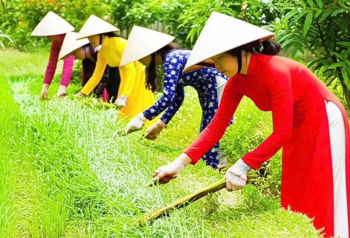 Chị đang hòa vào cộng đồng làm giàu đẹp quê hương (Ảnh minh họa)