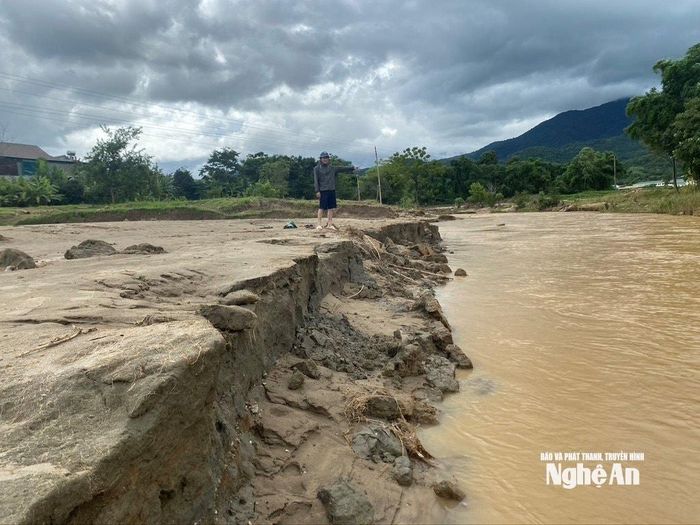 Dòng khe Nậm Chọt bị sạt lở, ăn sâu vào bờ ruộng của bản Na Niếng. Ảnh: Văn Trường