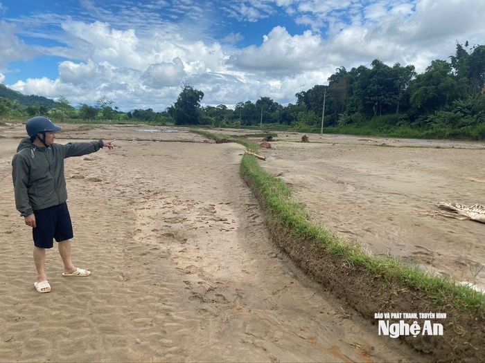 Anh Vi Văn Lam, người dân bản Na Niếng, cho biết gia đình canh tác 3 sào lúa thì toàn bộ đã bị lũ xóa hết, vụ tới sẽ đối diện nguy cơ thiếu lương thực. Ảnh: Văn Trường