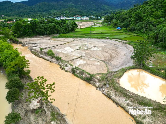Ông Lô Minh Điệp - Chủ tịch UBND xã Tri Lễ, cho biết, toàn xã có tổng diện tích 598 ha lúa, trong đó hơn 150 ha bị xóa sổ do vùi lấp hoàn toàn, hiện vẫn chưa thể khắc phục. Để xử lý tình trạng này, xã cần sự hỗ trợ từ Nhà nước, sử dụng máy xúc để san gạt, khôi phục lại ruộng lúa. Ảnh: Văn Trường