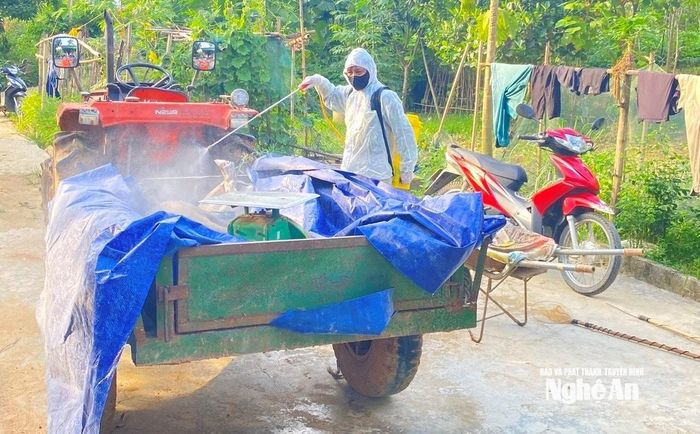Các phương tiện vận chuyển lợn chết đi tiêu hủy đều được phun thuốc khử trùng nhằm ngăn chặn dịch bệnh lây lan. Ảnh: Văn Trường.