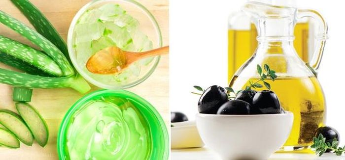 Hỗn hợp nha đam và dầu oliu có tác dụng dưỡng tóc siêu hiệu quả, khắc phục được tình trạng tóc khô, xơ rối hoặc hư tổn nặng.