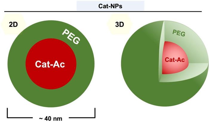  Cấu trúc nano polymer ứng dụng tăng hiệu quả trị bệnh. 