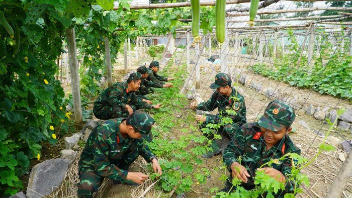 Không những nâng cao khả năng huấn luyện, sẵn sàng chiến đấu, Bộ đội Cụ Hồ còn tăng gia sản xuất, tạo nguồn thực phẩm tại chỗ và tặng rau, củ cho người dân địa bàn biên giới, biển, đảo, tăng cường tình đoàn kết quân - dân.