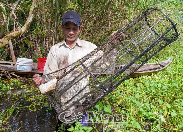 Ông Lê Văn Suôl với niềm vui mùa đặt lọp.