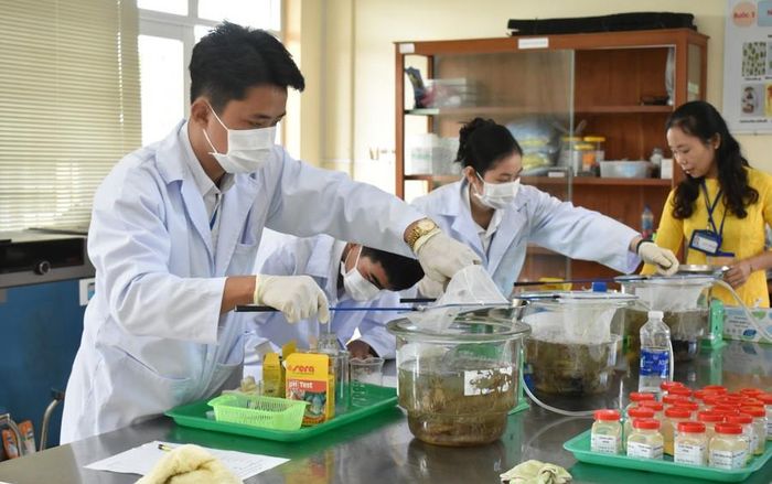  Sinh viên Trường Cao đẳng Kinh tế - Kỹ thuật Bạc Liêu trong Cuộc thi “Giỏi nghề” năm 2025. Ảnh: NTCC 
