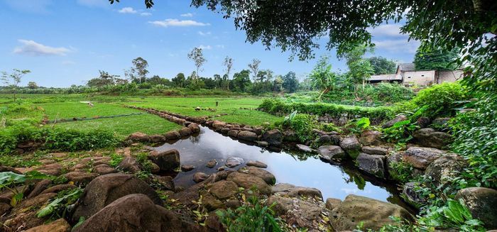 Mạch nước ngầm luôn duy trì một lượng nước ổn định nhờ vào sự tinh tế trong thiết kế của người Chăm. Họ đã xây dựng các bể lắng sâu khoảng 0,5 m và các máng dẫn nước chảy ra ngoài phục vụ nông nghiệp và sinh hoạt hàng ngày. Công trình còn thể hiện sự thông minh và ứng xử khôn khéo của người Chăm cổ trong việc hòa hợp với thiên nhiên, tận dụng các điều kiện tự nhiên để phục vụ đời sống cộng đồng một cách bền vững.