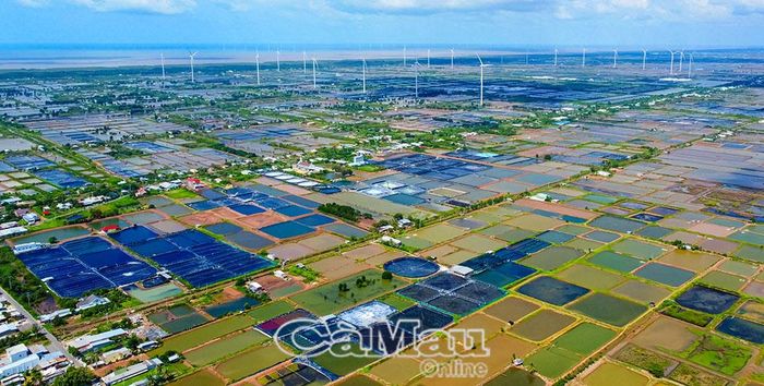 Nước biển tạo điều kiện cho người dân xã Vĩnh Hậu phát triển vùng nuôi tôm công nghiệp.