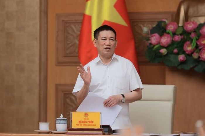 Phó Thủ tướng Hồ Đức Phớc phát biểu tại cuộc họp (Ảnh: VGP).
