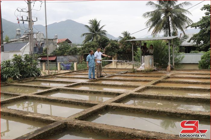 Công nhân Chi nhánh Cấp nước Sông Mã thau rửa hệ thống bể lắng.