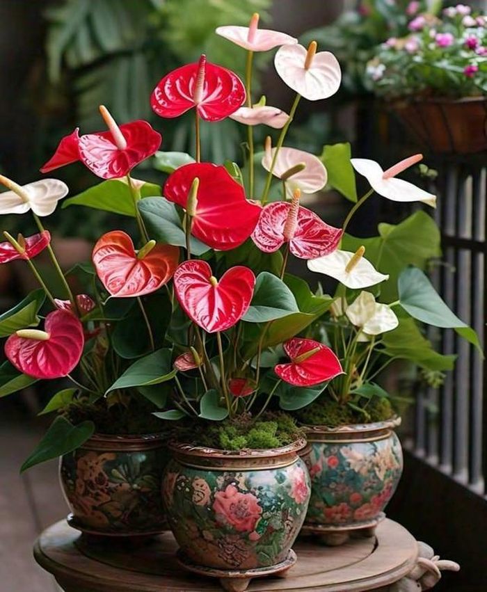 4. Hoa giả: Hoa giả trông đẹp mắt nhưng lại là “vật chết” cản trở tài lộc. Theo phong thủy, cửa chính cần sinh khí, còn hoa giả lại vô hồn, làm tắc nghẽn năng lượng tốt.