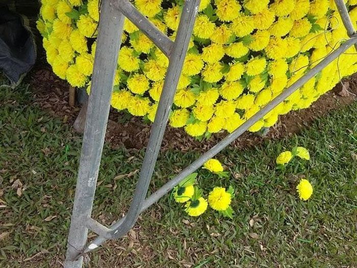 Không nên đặt hoa giả ở cửa ra vào, ban công hoặc nơi sinh hoạt chính. Nếu buộc phải dùng, hãy làm sạch định kỳ và chọn vị trí khuất gió, ít ảnh hưởng đến dòng khí lưu thông.