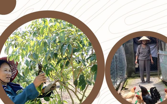 Nhiều hội viên, phụ nữ tại tỉnh Hưng Yên mạnh dạn vay vốn chính sách để phát triển kinh tế hộ gia đình.