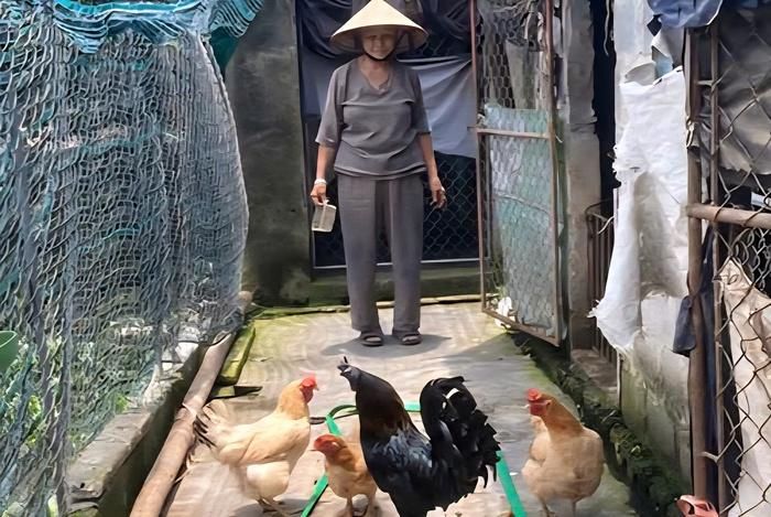 Bà Hoàng Thị My mạnh dạn vay vốn chính sách để phát triển kinh tế hộ gia đình. Ảnh: Hồng Anh