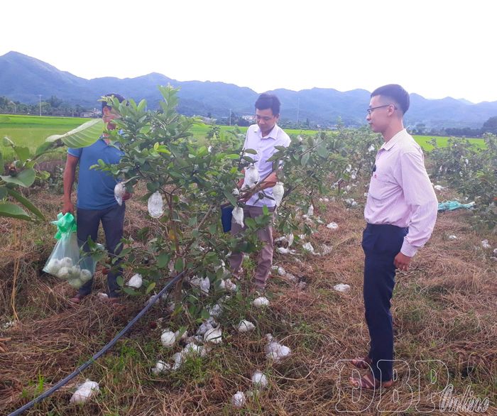 Được tiếp cận vốn chính sách thuận lợi giúp người dân có điều kiện phát triển kinh tế.