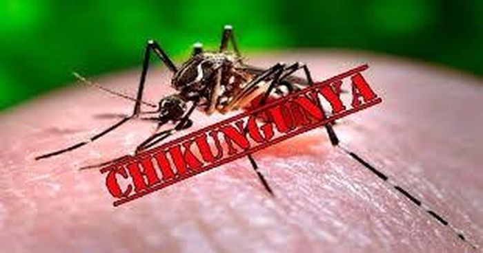 Một số trường hợp nhiễm CHIKV có biến chứng về mắt, tim và thần kinh.