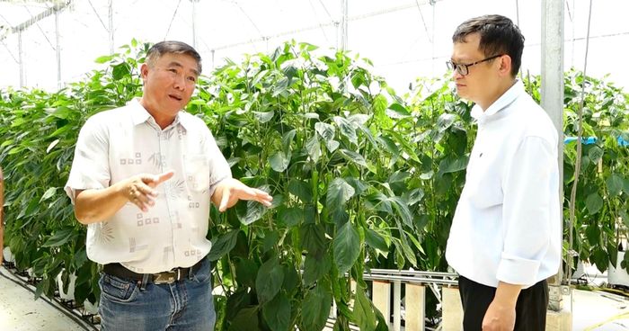 Cán bộ chuyên môn giám sát, kiểm tra chất lượng nông sản tại nguồn (PT Farm) 