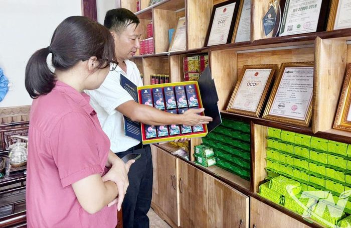 HTX chè sạch Đạt Phát, xã Vô Tranh, hiện có 3 sản phẩm đạt OCOP 4 sao.