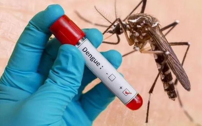 Tiêm vaccine ngừa sốt xuất huyết chính là biện pháp hiệu quả. Ảnh minh họa