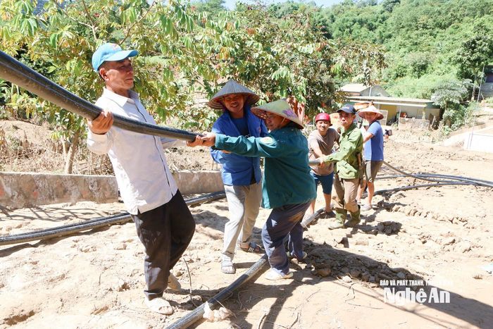 Người dân tham gia vận chuyển đường ống nước. Ảnh: Đình Tuân