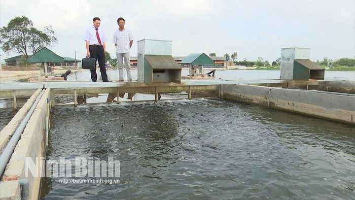 Mô hình nuôi cá ứng dụng công nghệ “sông trong ao” ở xã Bình Sơn cho năng suất, sản lượng, hiệu quả kinh tế cao.