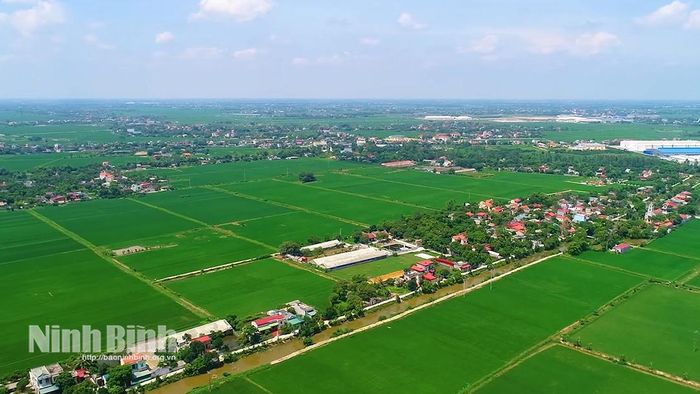 Xã Bình Sơn sau hợp nhất được mở rộng không gian phát triển với nhiều tiềm năng và lợi thế.