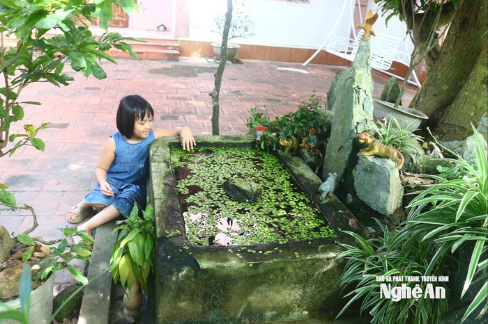 Tồn tại cùng với những ngôi nhà cổ là những vật dụng, hiện vật đã nhuốm màu thời gian như bể nước xây dựng bằng vỏ hến, vỏ sò, đồ tế khí... Ảnh: Huy Thư