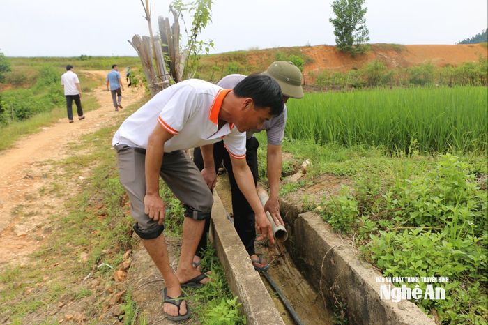 Mương nước, đường ống dẫn nước vào ruộng trơ cạn. Ảnh: K.L