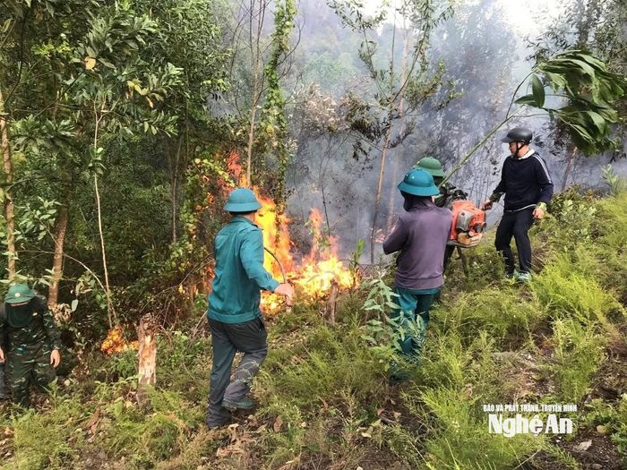 Các lực lượng kiên cường dập lửa cứu rừng. Ảnh: Ngọc Thăng