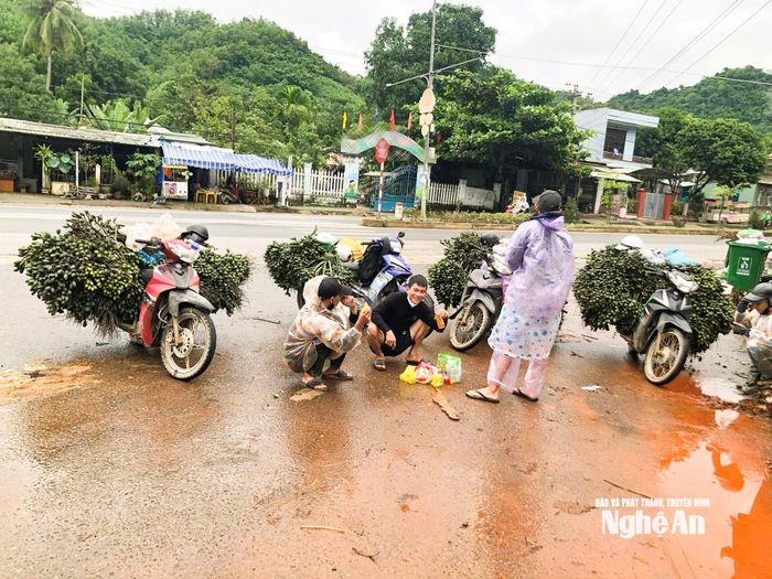 Thương lái tập trung thu mua. Ảnh: K.L