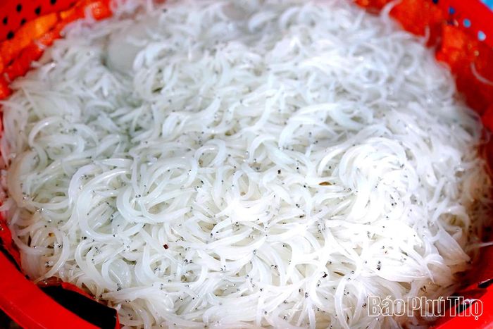 Cá ngần được ví như “ngọc tuyết” sông Đà
