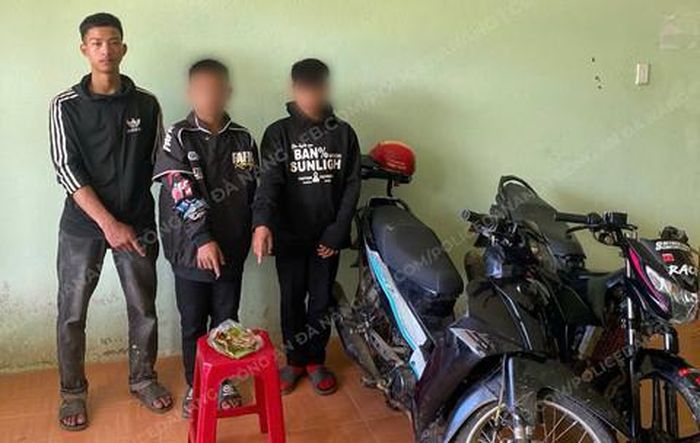 3 đối tượng nhổ trộm sâm Ngọc Linh cùng tang vật