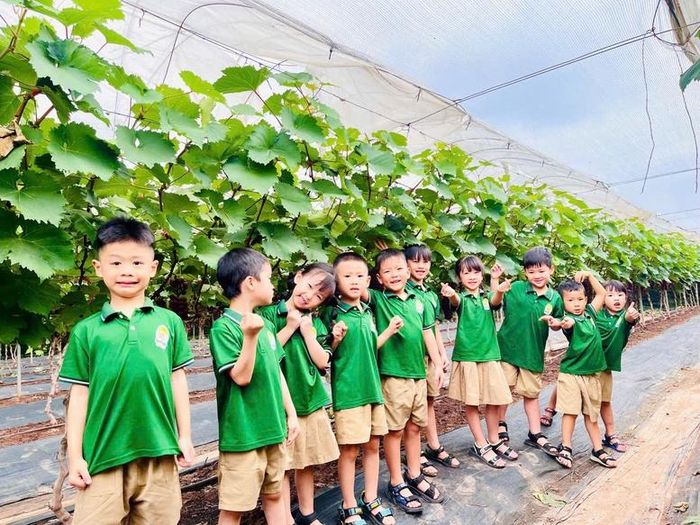 Vườn nho của Hợp tác xã còn là nơi trải nghiệm thú vị cho các du khách. Ảnh: VGP/Thiện Tâm