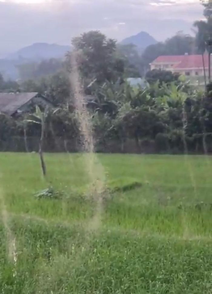 Ảnh cắt từ clip: NGUYỄN HẰNG 