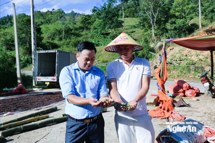 Xưởng chế biến của anh Hồ Lâm (bên phải) mỗi ngày thu mua 20 tấn bo bo tươi cho bà con. Ảnh: K.L